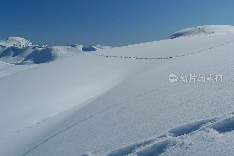 艺术家Point Snowshoe, North Cascades